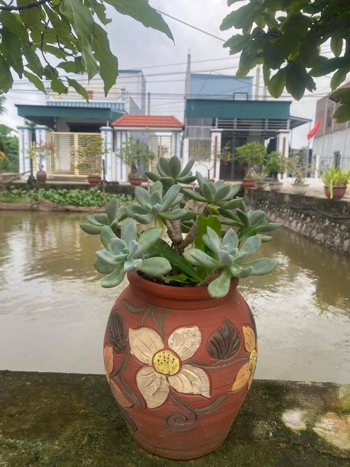 Nhà vườn Kim Sơn 144m² - Chính chủ bán, giá thỏa thuận!