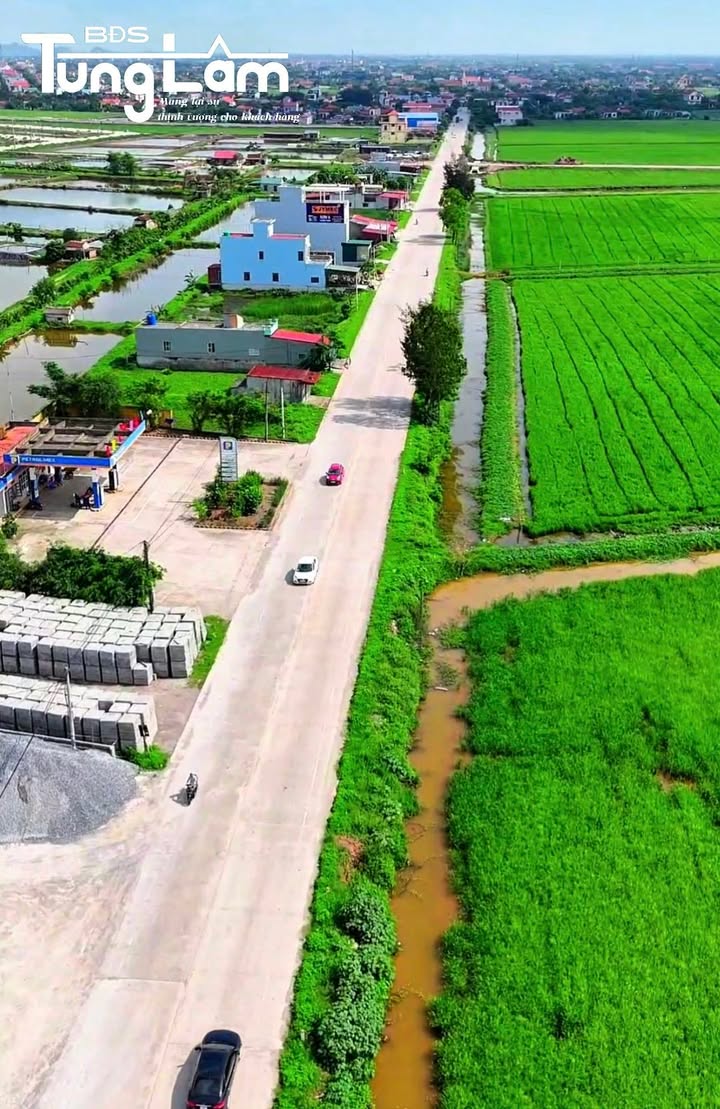 Mảnh đất mặt đường 481, Kim Sơn, Ninh Bình 100m² - Vị trí đắc địa gần bến xe!