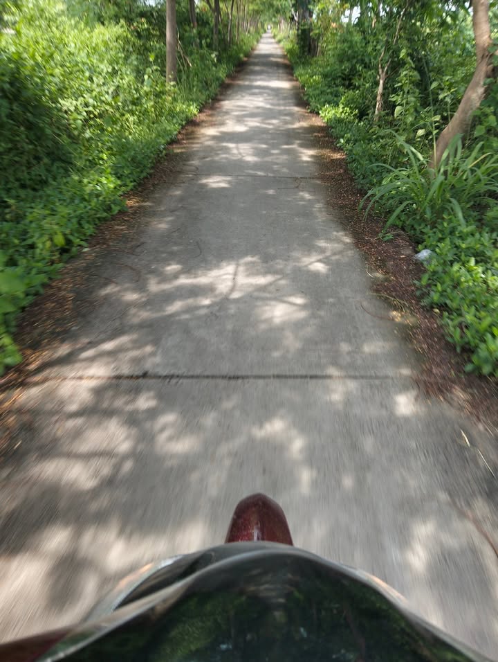 Đất nền Duyên Hải Trà Vinh 60.000m² - Đầy đủ điện nước, giá thỏa thuận