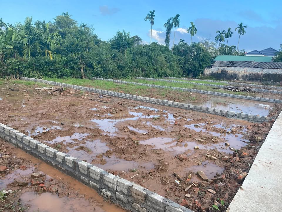 Đất nền Chính Lý, Lý Nhân 100m² giá chỉ 700 triệu - Đầu tư sinh lời ngay!