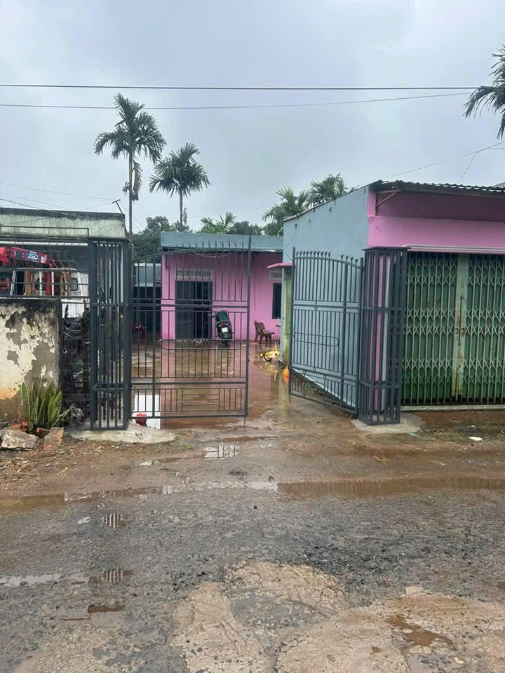 Đất nền liền kề đường D2 phường Tân An 147m² giá 2.45 tỷ - Sổ đỏ chính chủ, có nguồn thu cho thuê!