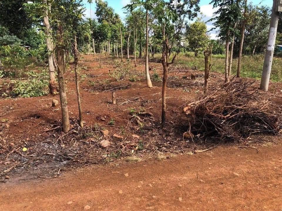 Đất thổ cư 360m² xã Ea Phê, Krông Pắc - Giá chỉ 300 triệu, gần chợ và trường học!