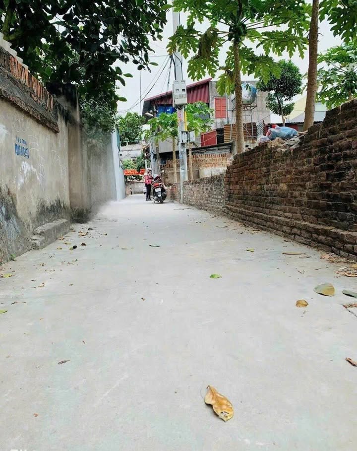 Đất nền thổ cư Đại Đồng 50.5m² giá chỉ 1 tỷ - Cơ hội vàng cho nhà đầu tư!