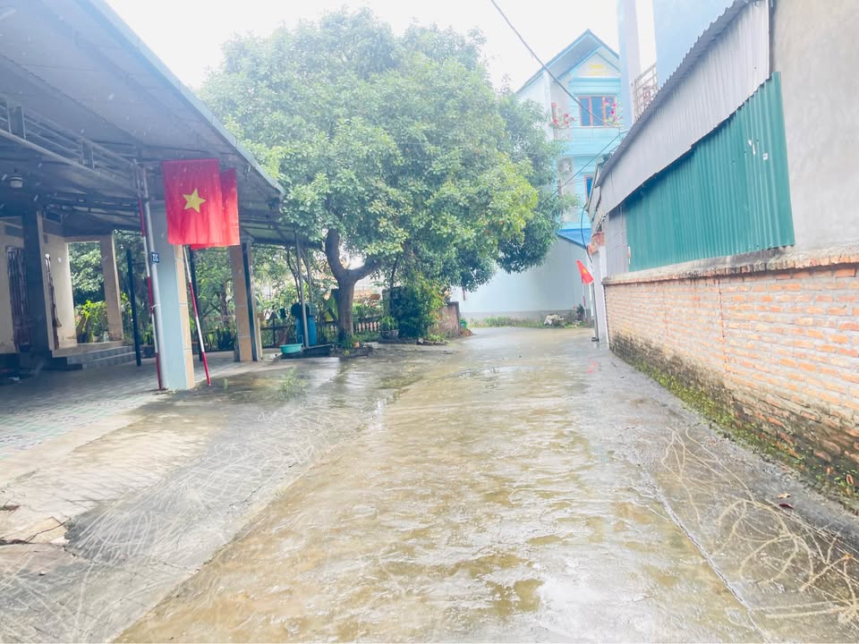 Đất Ỷ La Tuyên Quang 140m² giá 2.3 tỷ - Đường thông thoáng, giao dịch ngay!