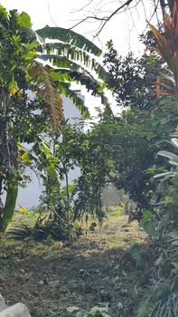 Đất nền Kim Bôi 429m² giá chỉ 2.7 triệu/m² - Cơ hội đầu tư hấp dẫn!