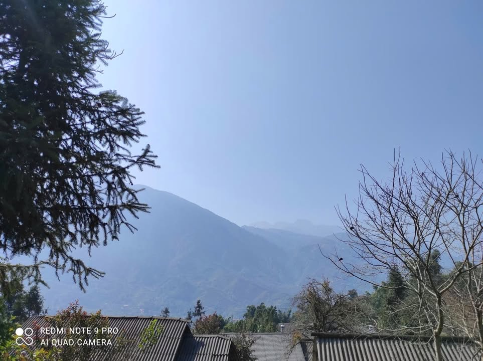 Nhà gỗ tại Mường Hoa, Sa Pa 380m² giá 3 tỷ - Đầu tư tiềm năng du lịch!