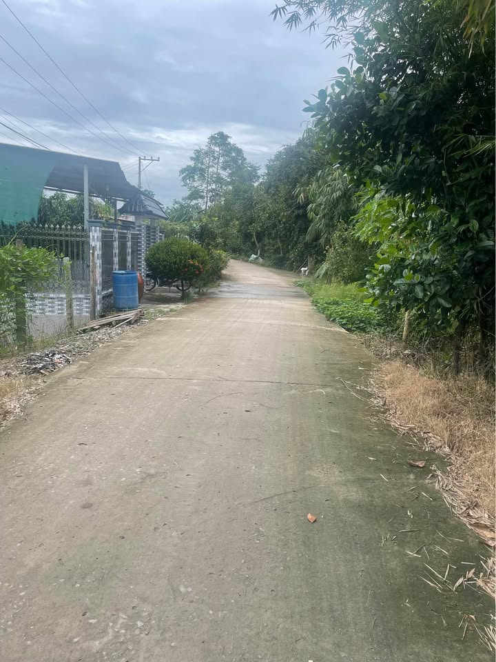 Đất nền Hội An Chợ Mới 390m² giá 350 triệu - Cơ hội đầu tư hấp dẫn!