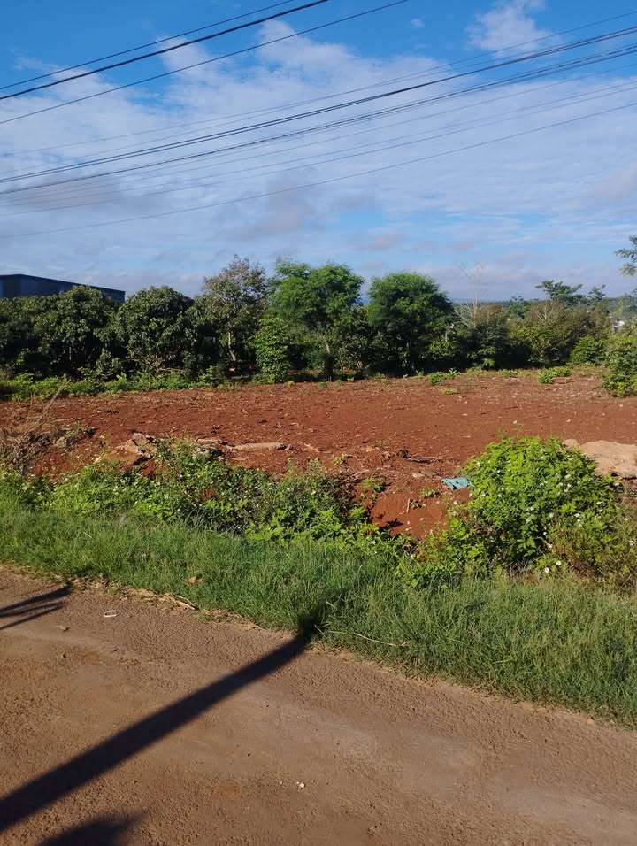 Đất thổ cư 900m² tại thôn 5 xã Ea Drông, Đắk Lắk - Giá chỉ 6x triệu/m²!