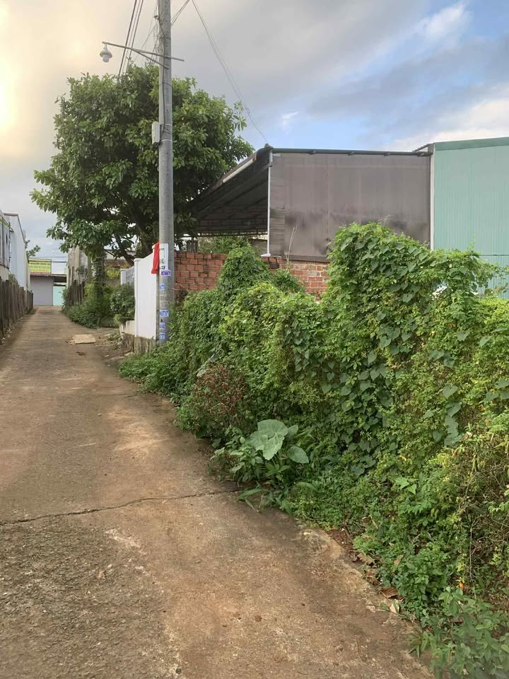 Đất thổ cư Hẻm 89 Nguyễn Trãi, Phường An Bình 118m² - Cơ hội đầu tư tuyệt vời!