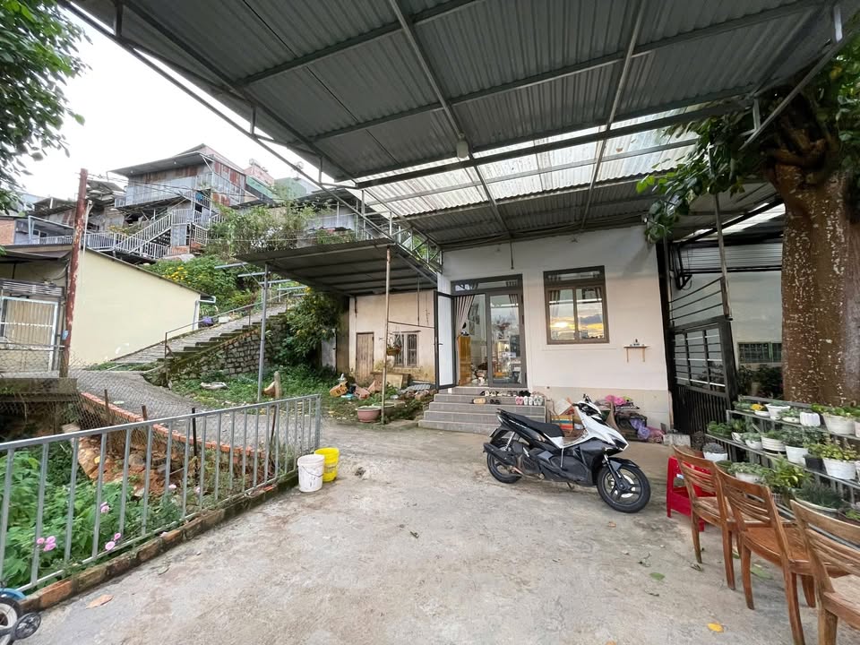 Nhà cấp 4 Trần Quang Diệu, Đà Lạt 100m² giá chỉ 1.25 tỷ - Sổ đỏ chính chủ!