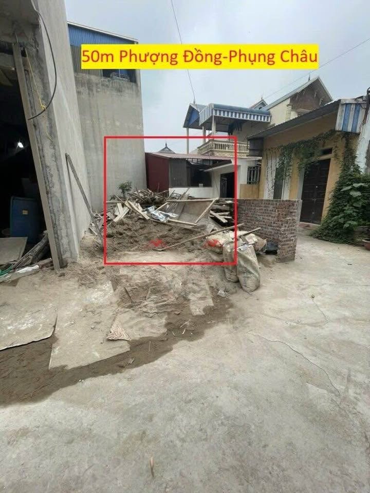 Nhà riêng Phụng Châu, Chương Mỹ 50m² giá 2 tỷ - Lô góc 2 mặt ngõ