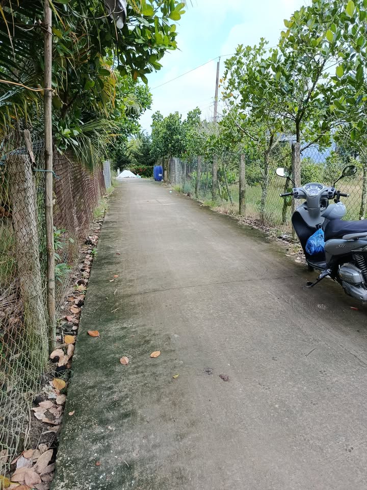 Đất nền Tân Hội, Cai Lậy 145m² giá chỉ 300 triệu - Đầu tư sinh lời!