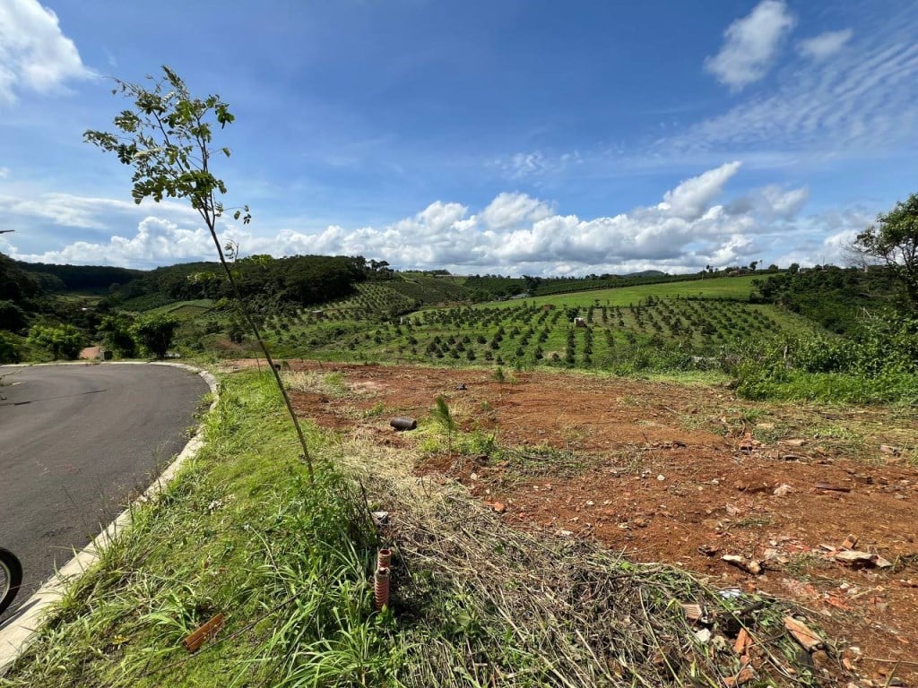 Lô đất nghỉ dưỡng 254.1m² view rừng thông 18ha - Phường 2 Bảo Lộc chỉ 2.54 tỷ