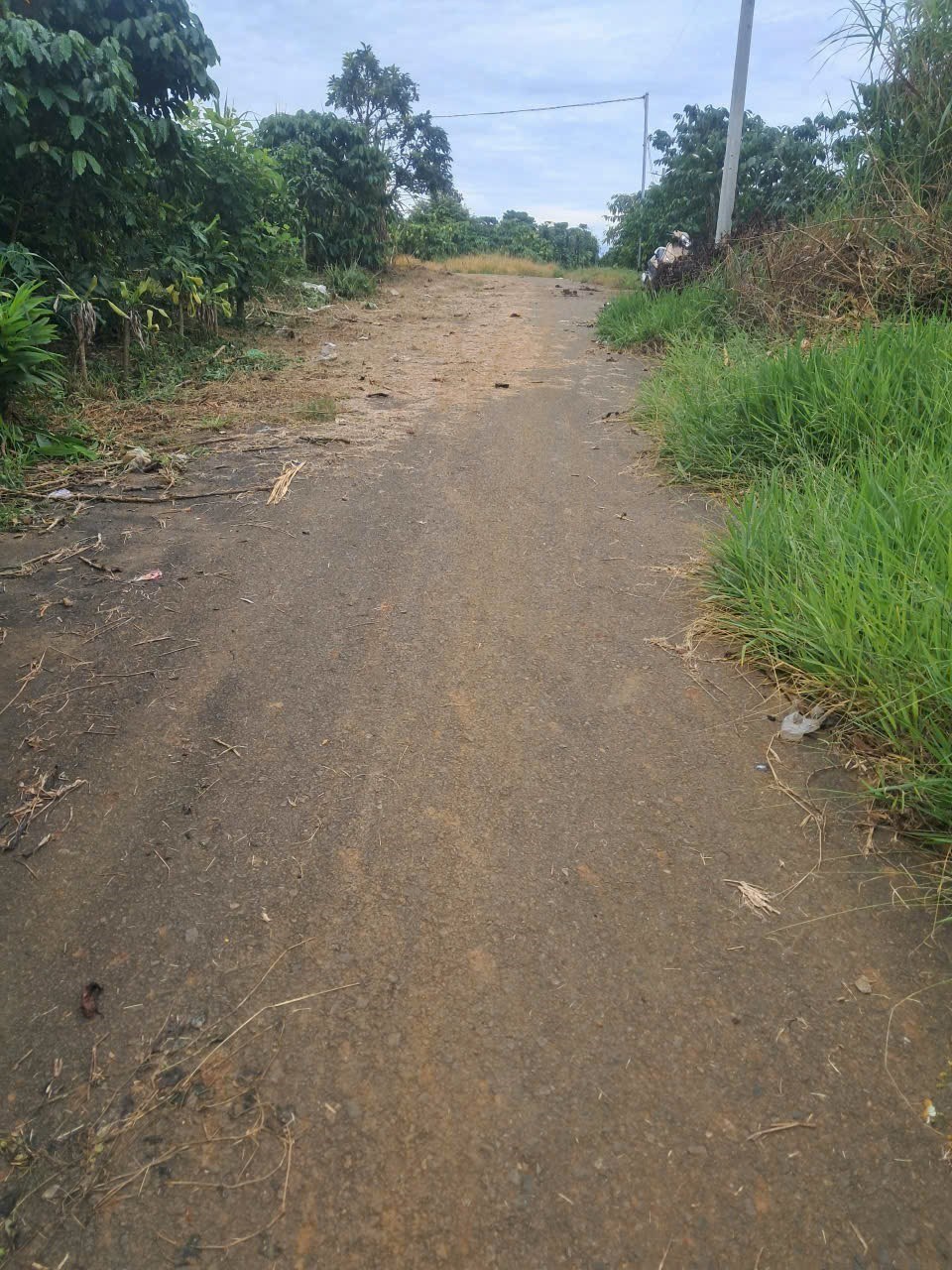 Đất nền Lộc An - Bảo Lộc 1000m² giá 1,2 tỷ - Đường nhựa sổ hồng rõ ràng!