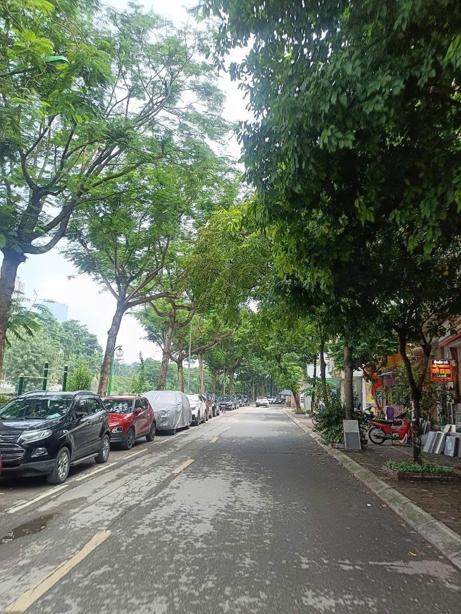 Biệt thự phố Hàm Nghi Nam Từ Liêm 200m² giá 57 tỷ - Đầu tư sinh lời ngay!