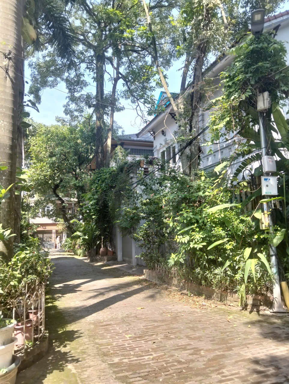 Biệt thự Võng Thị 163m² giá 96 tỷ - Phong thủy tuyệt đẹp gần Hồ Tây!