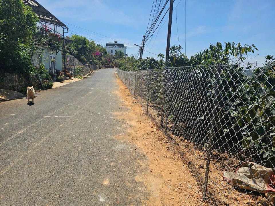 Đất nền Trạm Hành - Xuân Trường - Đà Lạt 4715m² giá 5.5 tỷ - Đầu tư lý tưởng!