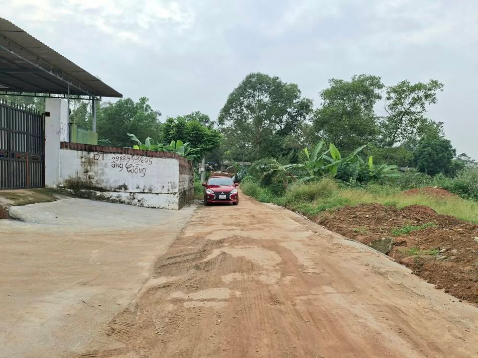 Đất nền Thôn Chùa Hướng Đạo - Tam Dương 115m² giá 800 triệu - Sổ đỏ pháp lý rõ ràng!