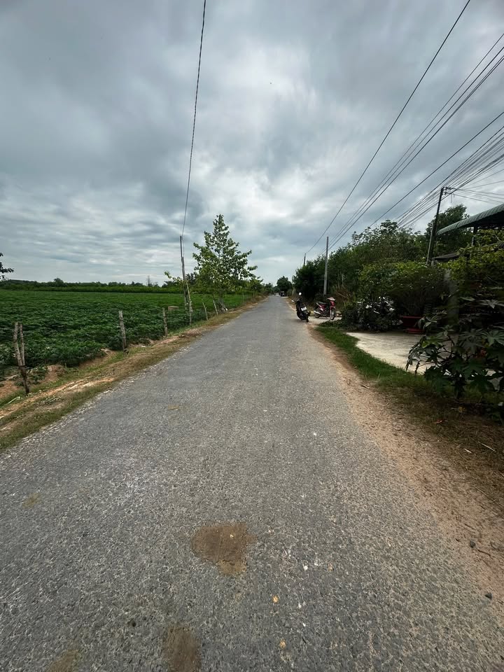 Đất thổ cư Hòa Hiệp, Tân Biên 247.5m² giá chỉ 275 triệu - Đầu tư sinh lời ngay!