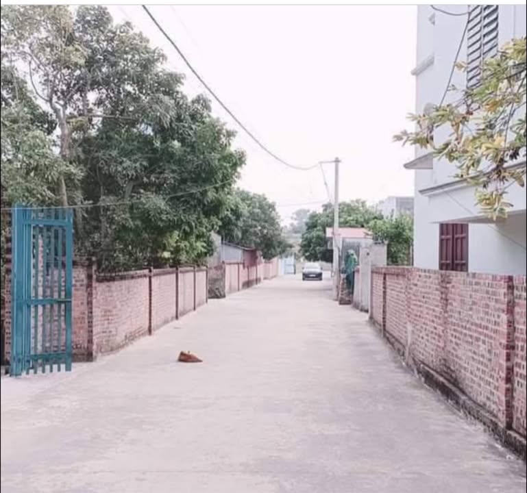 Đất nền Thanh Quang, Nam Sách 105m² giá chỉ 1.8 tỷ - Cơ hội đầu tư lý tưởng!