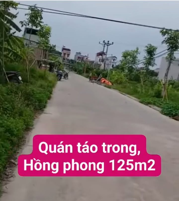 Đất nền Hồng Phong, Nam Sách 125m² giá 1.86 tỷ - Vị trí đẹp không lỗi lầm!