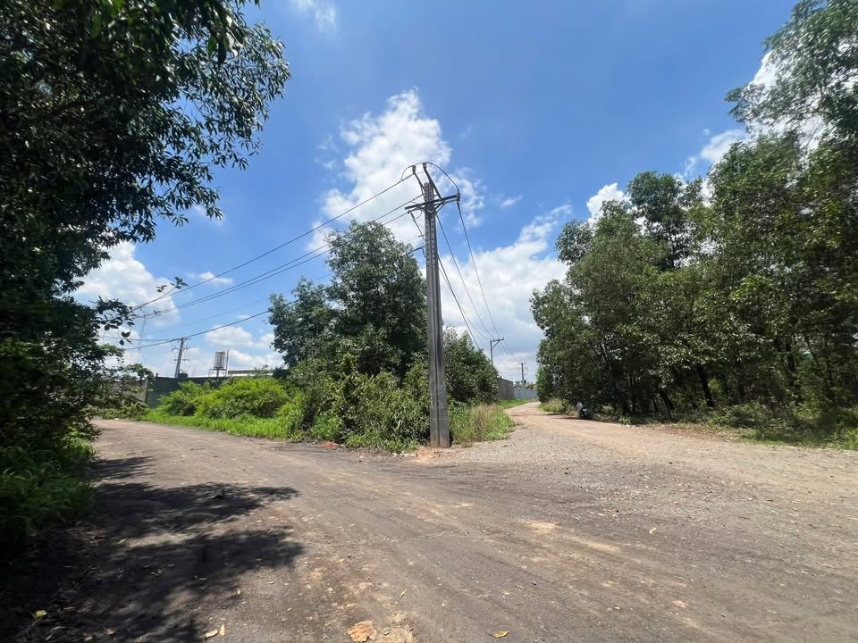 Đất An Phước 1000m² giá 3.25 tỷ - Đầu tư sinh lời tốt!