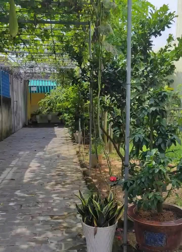 Nhà cấp 4 sân vườn tại Nghĩa Dõng 300m² giá 2 tỷ - Sổ đỏ chính chủ