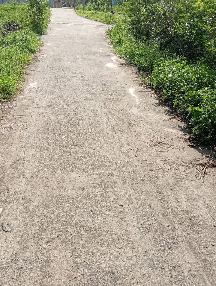 Đất Nền Nghi Thạch, Nghi Lộc 126m² - Giá Chỉ Dưới 1 Tỷ, Cơ Hội Vàng Đầu Tư