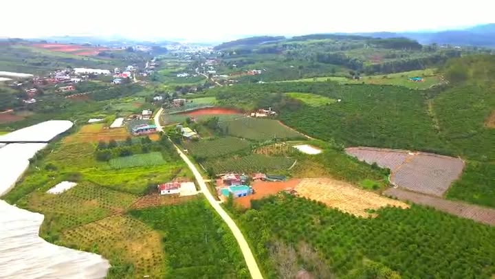 Đất 1ha2 Đà Loan, Đức Trọng giá chỉ 4.32 tỷ - Tiềm năng đầu tư lớn!