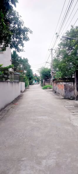 Đất nền Quỳnh Hồng 309m² giá thỏa thuận - Đường ô tô vào tận nơi!