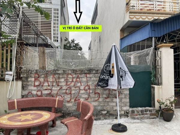 Đất nền Hồng Thái Đông 87.2m² giá thỏa thuận - Sổ đỏ chính chủ