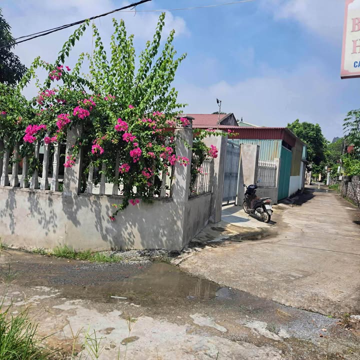 Đất chính chủ Ninh Vân 500m² giá thỏa thuận - Đường thông tứ phía, thuận tiện kinh doanh!