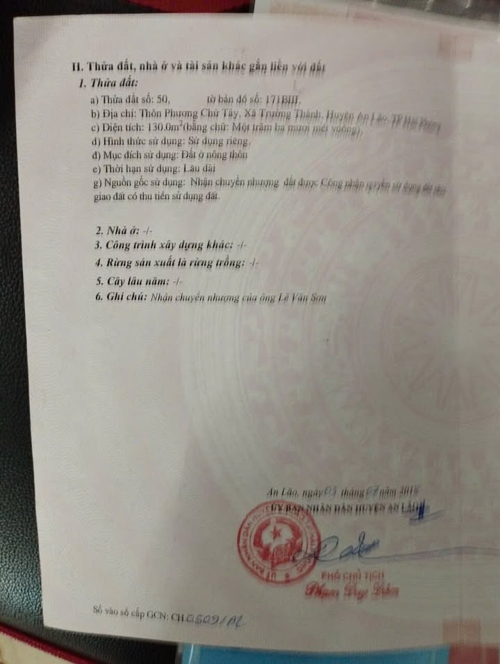 Đất nền Trường Thành An Lão 130m² giá 2.6 tỷ - Đầu tư sinh lời tuyệt vời!