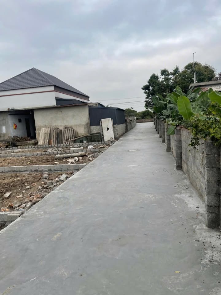 Đất nền An Trường An Lão 70m² giá 600 triệu - Ô tô vào tận đất!