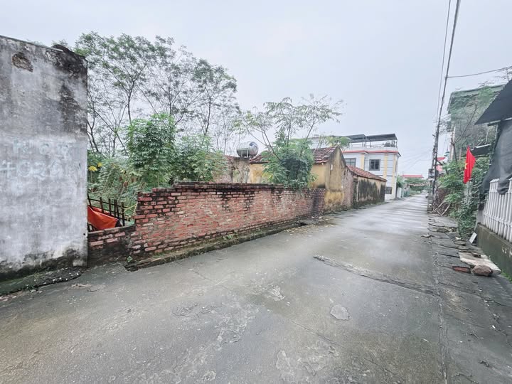 Đất nền khu tái định cư Thụy Vân, Phường Nông Trang 152,5m² - Giá mềm nhất khu!