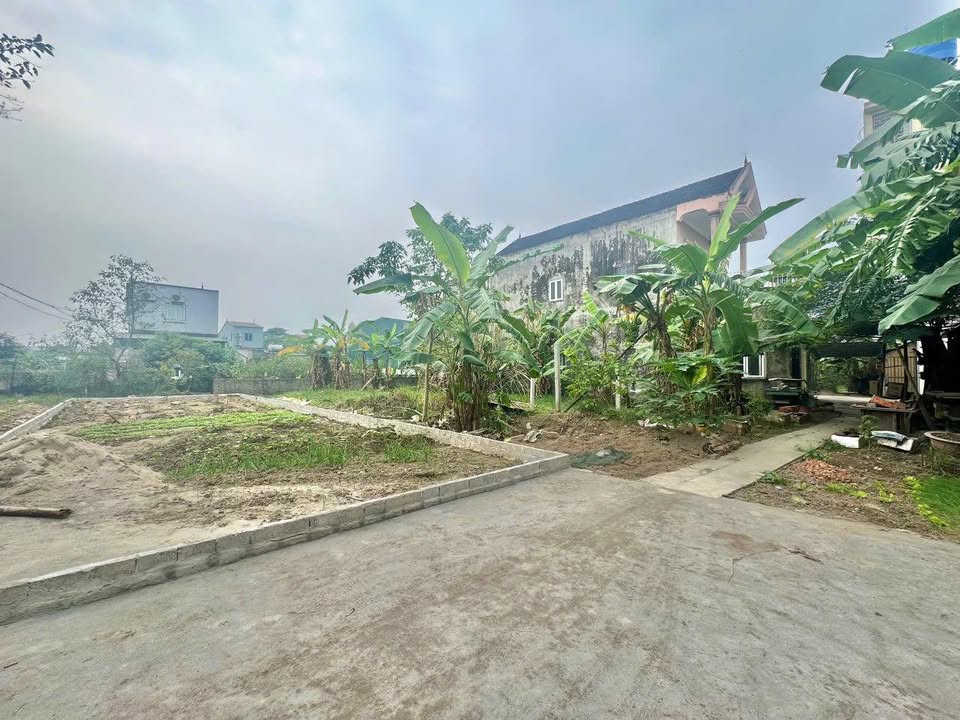 Đất Nền Nghi Kim Vinh 120m² giá 2 tỷ - Gần nhiều tiện ích