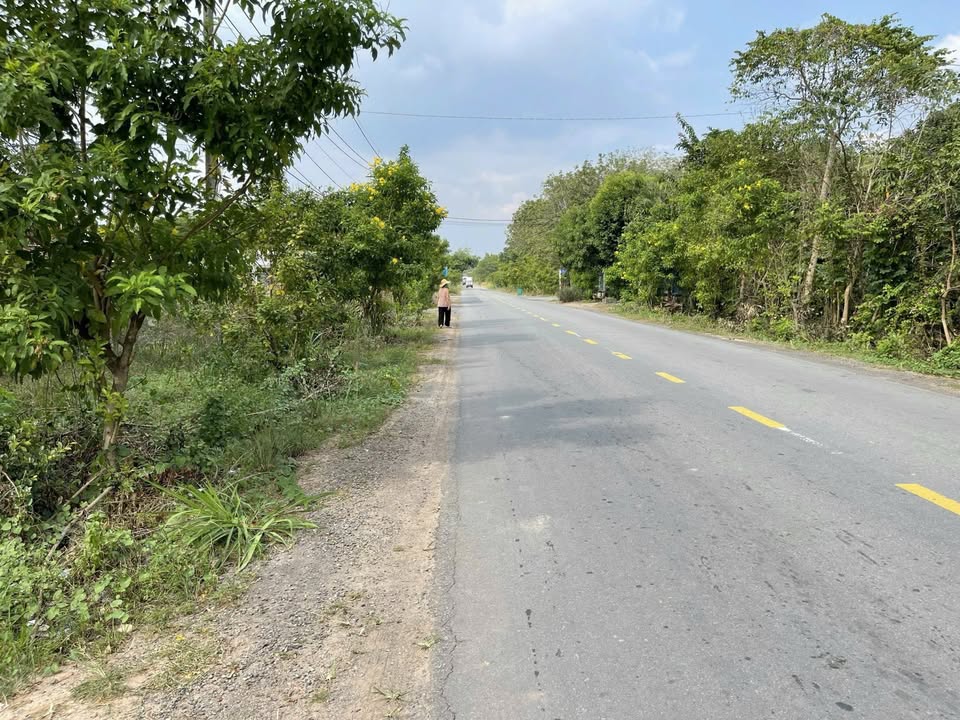 Đất nền An Nhơn Tây, Củ Chi 2225m² - Pháp lý rõ ràng, xây dựng tự do!