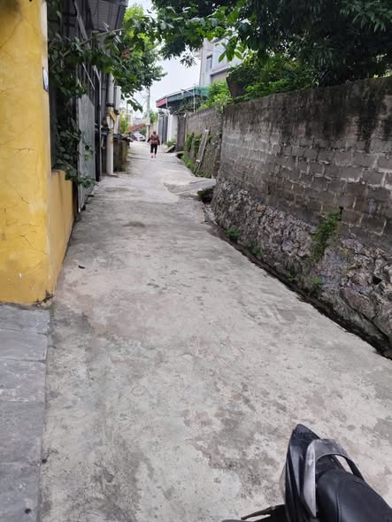 Đất nền Hạ Long - Hà Trung 135m² giá 1.3 tỷ - Vị trí đắc địa, sổ đỏ chính chủ!