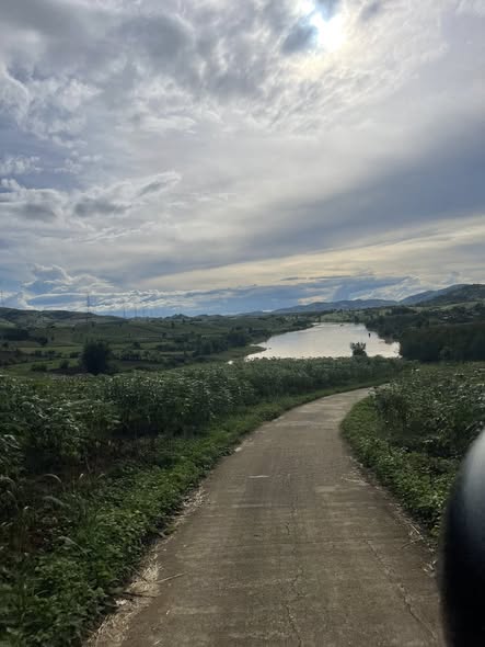 Đất nông nghiệp thôn 12, xã Đăk Ruồng, 1.7ha giá chỉ 300 triệu - Cơ hội đầu tư tuyệt vời!