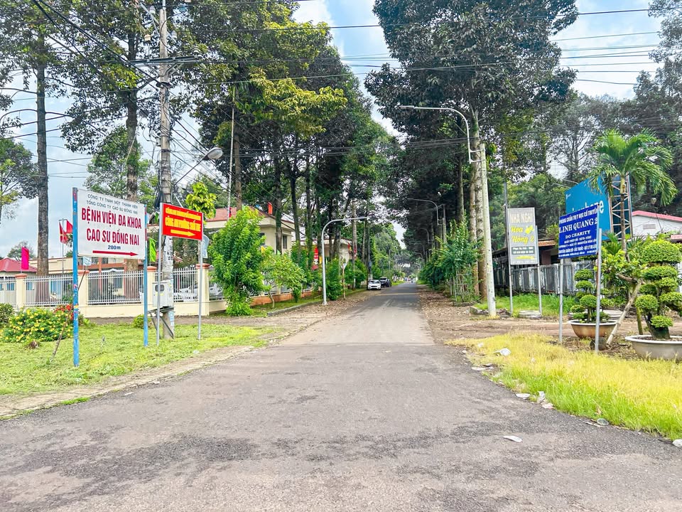 Đất nền 500m² phường Suối Tre, chỉ 800 triệu - Cơ hội đầu tư tốt!