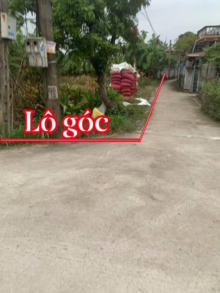 Đất ở Vũ Bản, Bình Lục 420m² - Vị trí lô góc, pháp lý rõ ràng!