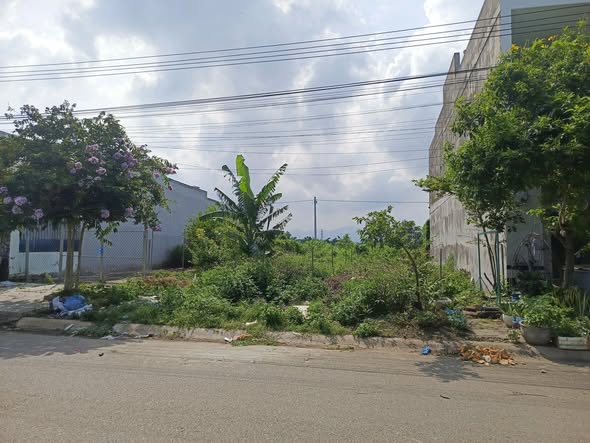 Đất thổ cư KDC Bến Lội Lại An 100m² giá 1 tỷ - Đường nhựa rộng rãi, xe ô tô vào tận nơi!