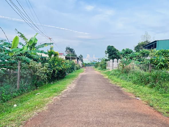 Nhà Đồi Thông Phan Đình Phùng, Pleiku 125m² giá 1.25 tỷ - Vị trí đẹp, không gian thoáng mát!