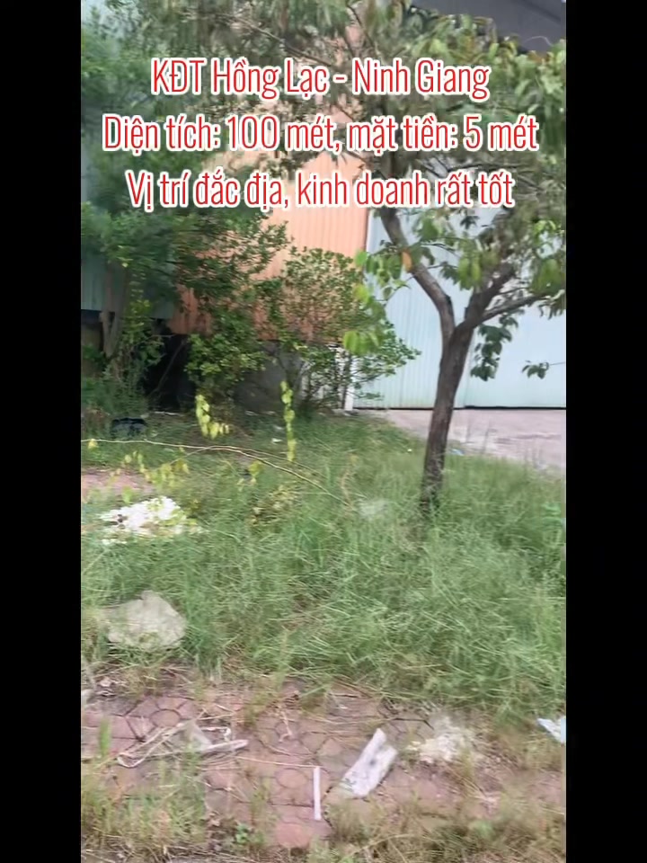 Đất nền Đồng Tâm Ninh Giang 100m² - Vị trí đắc địa, giá tốt nhất!