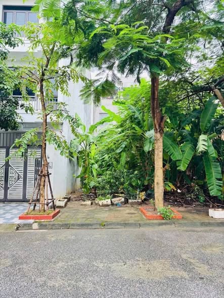 Lô đất 76m² KĐT Vạn Phúc, Hải Dương giá 3.5 tỷ - Mặt tiền 4m, hướng Bắc