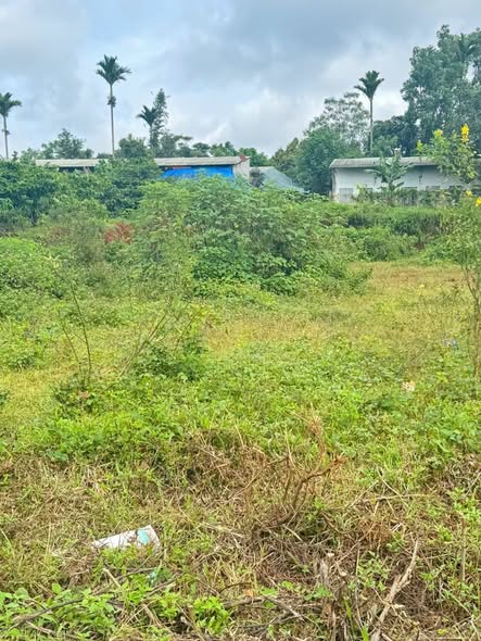 Đất nền Lý Chính Thắng, An Phú, 250m² - Cơ hội đầu tư không thể bỏ lỡ!