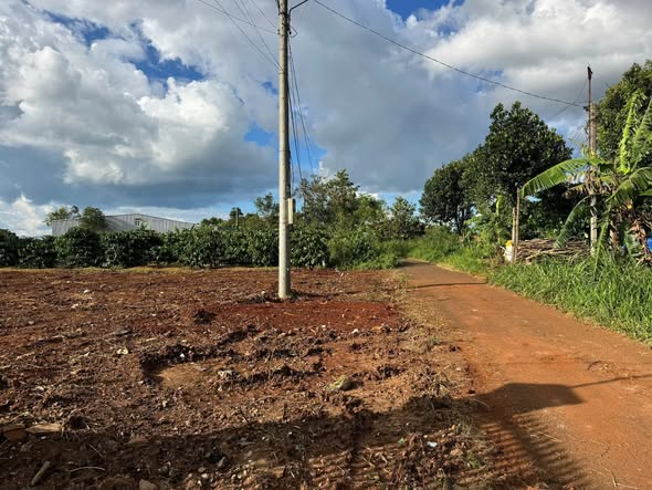 Đất nền Trà Đa, Pleiku 175m² giá 500 triệu - Khu dân cư điện lực phát triển mạnh!