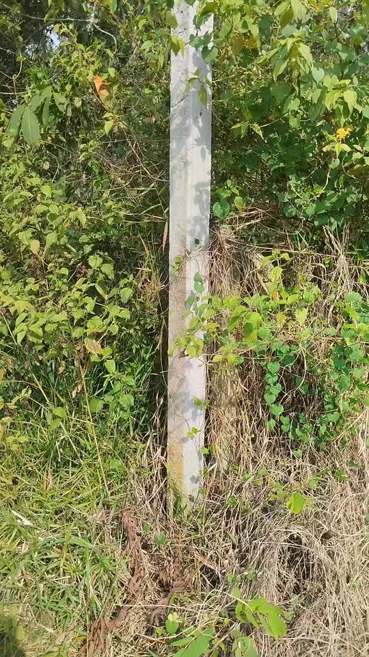 Đất nền Trảng Bàng 300m² giá chỉ 290 triệu - Nở hậu, cơ hội đầu tư hấp dẫn!