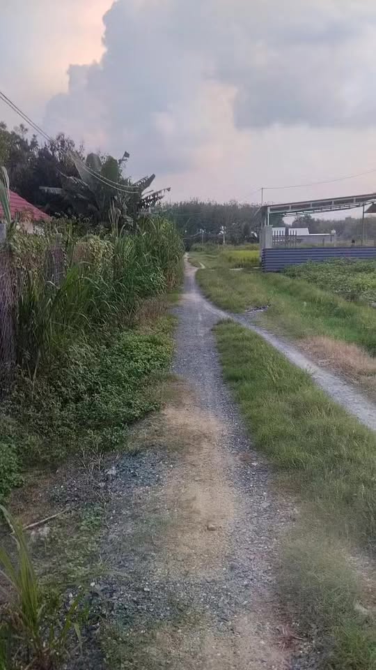 Đất thổ cư Lộc Hòa, Trảng Bàng 175m² giá 390 triệu - Cơ hội đầu tư sinh lời!