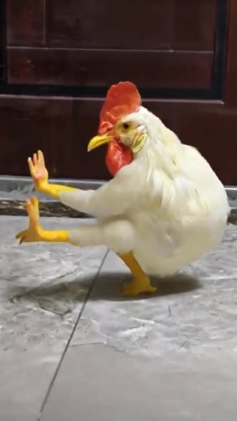 Đất Kp Gia Tân, Phường Gia Lộc, Trảng Bàng 564m² giá 680 triệu - Cơ hội đầu tư hấp dẫn!